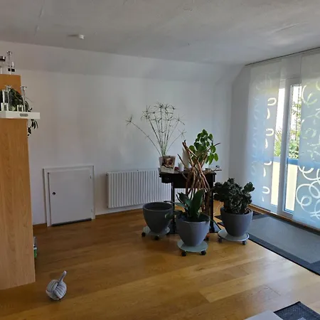 Apartment Komfortabel Bad Nauheim